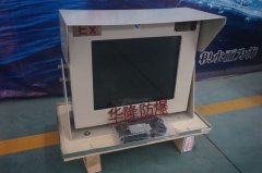 防爆显视器、监视器厂家