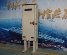 气体分析仪器专用防爆配电箱