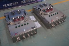 304不锈钢IIC及防爆配电箱